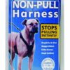 Gå pent sele coa non-pull harness svart - Bilde 2