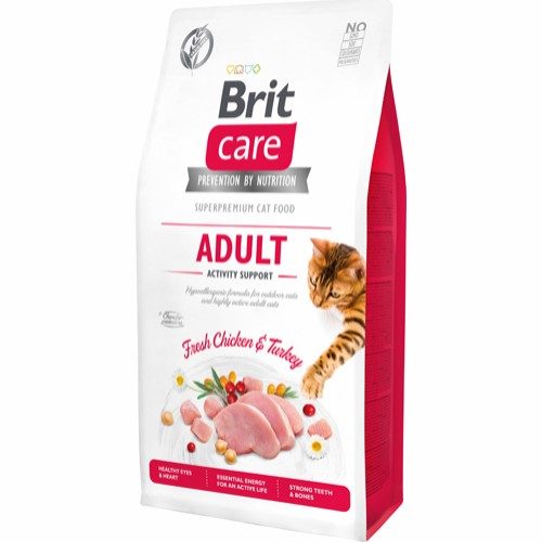 Brit Care Adult Activity Support
