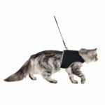 Kattesele soft med leiebånd