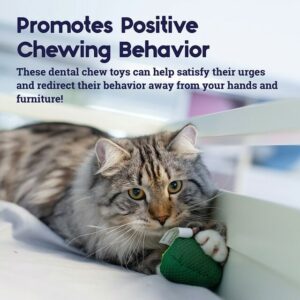 Petstages Lil 'Avocato Dental Health Cat Chew leke