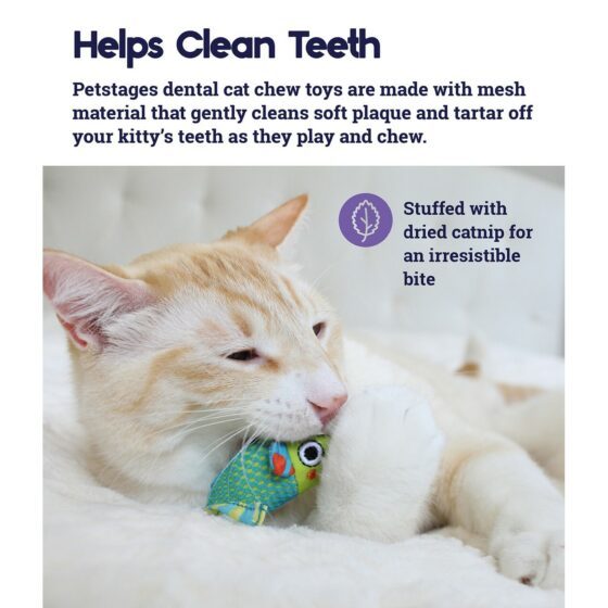 Petstages Catnip Chew Mice Dental Health katteleke catnip mus