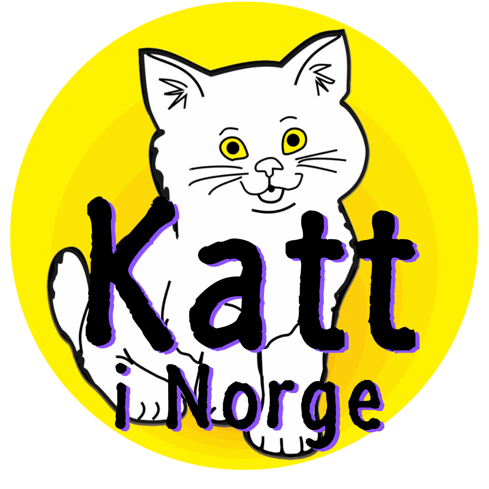 Katt i Norge