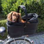 Sykkelveske-kurv Trixie til hund - Bilde 15