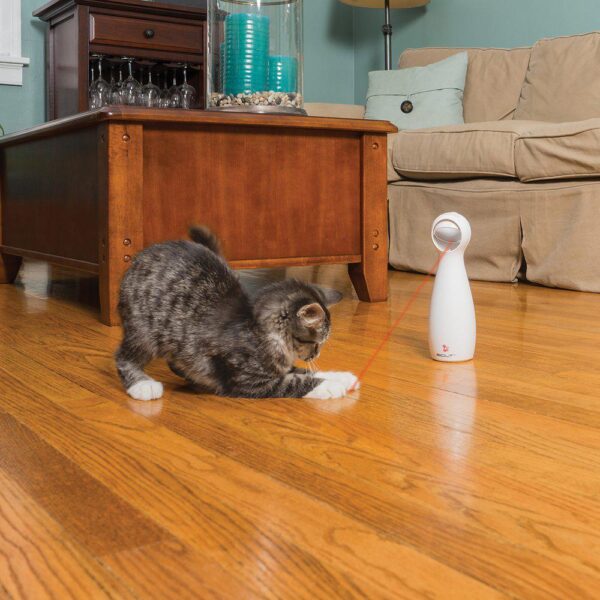 PetSafe Frolicat bolt Laser