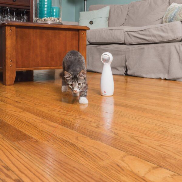 PetSafe Frolicat bolt Laser