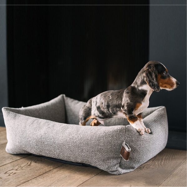 Hundeseng Fantail Snug Nut Grey