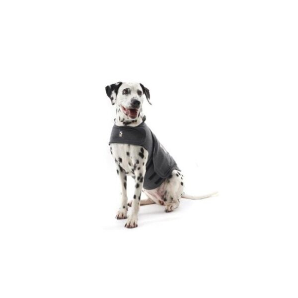 Thundershirt til hund - Bilde 2