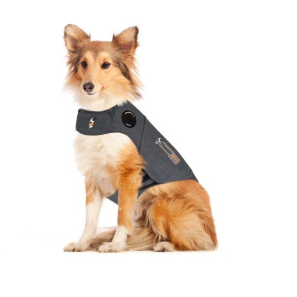 Thundershirt til hund - Bilde 3