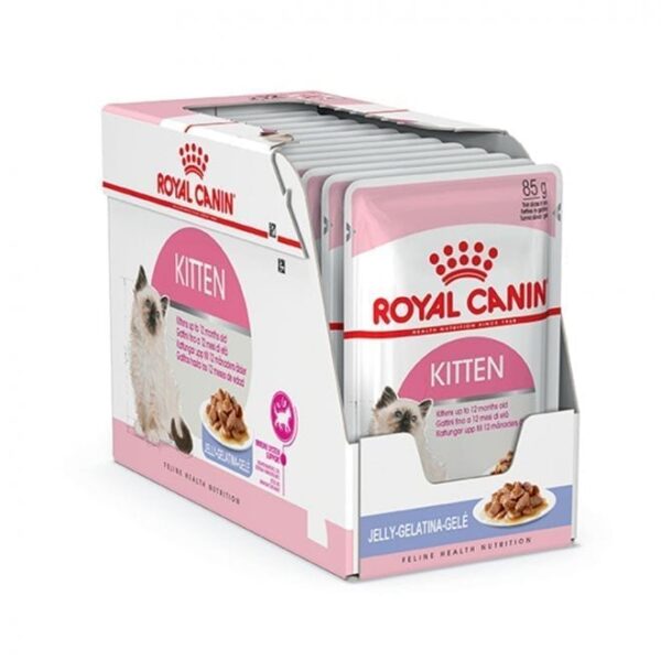 Royal Canin Kitten in Jelly 12x85 g