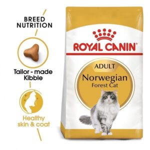 Royal Canin Norwegian Forest cat