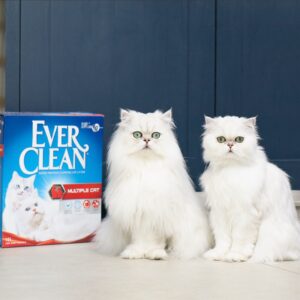 Ever Clean Multiple Cat Kattesand 10 L