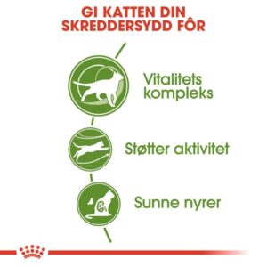 Royal Canin Outdoor 7+