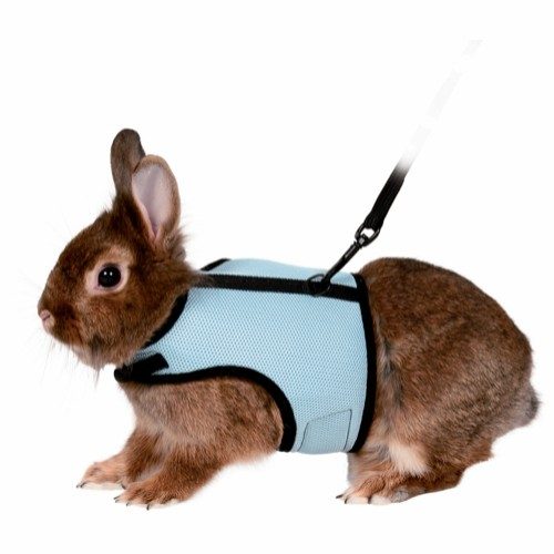 Trixie Soft harness with leash dwarf rabbits 25-32 cm 1.20 m - Assorted