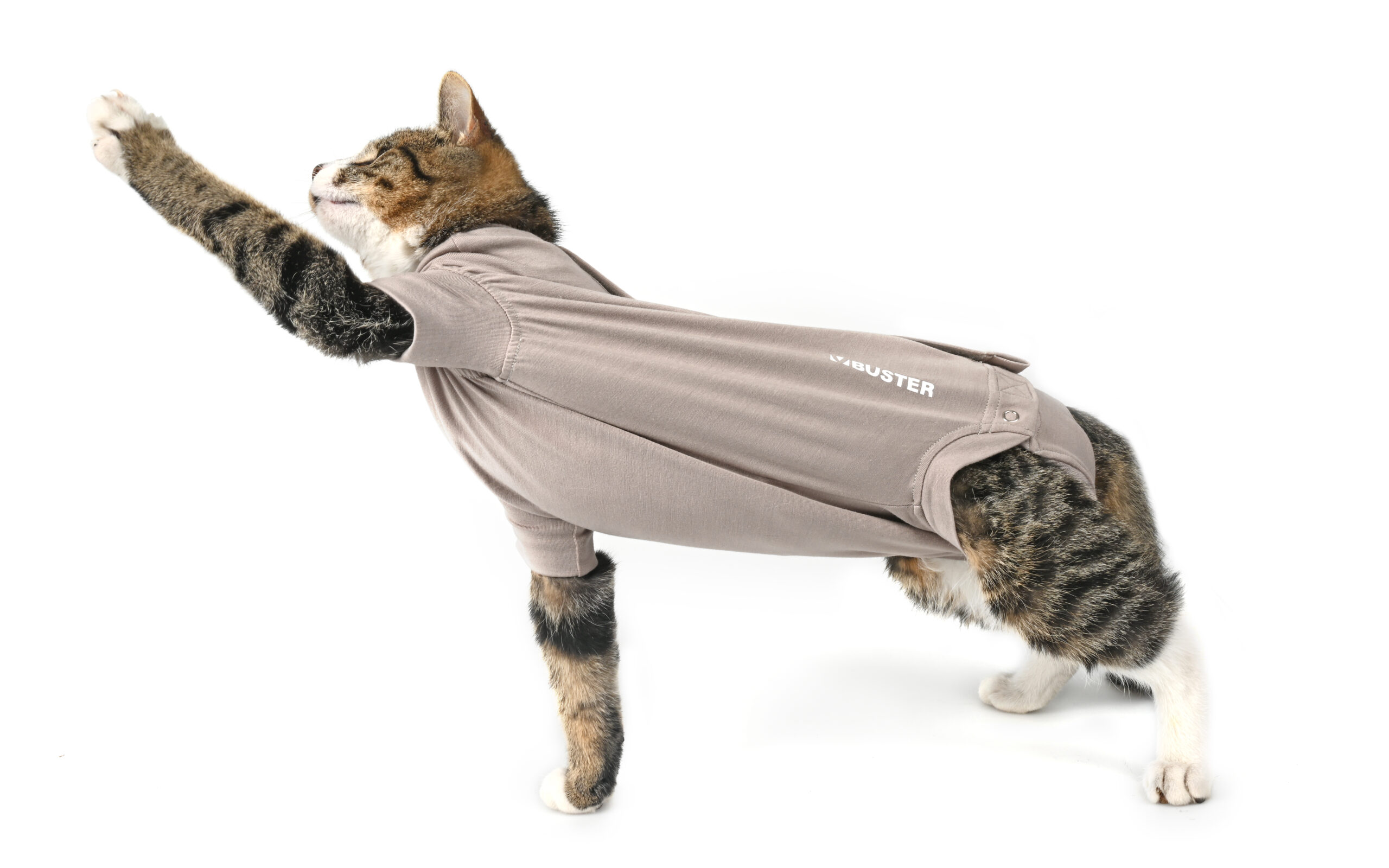 BUSTER Body Suit Step'n Go til katt