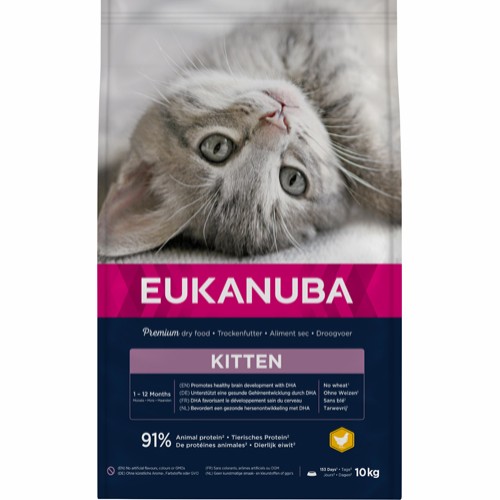 Eukanuba Kitten Healthy Start