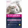 Eukanuba Kitten Healthy Start Eukanuba Kitten Healthy Start