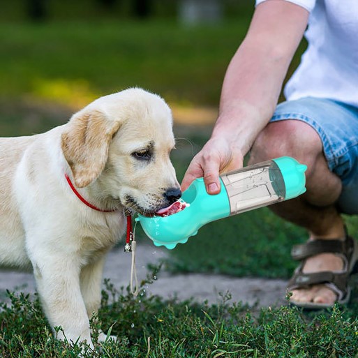 Vannflaske Reiseflaske til Hund & Katt