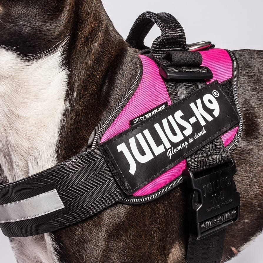 Label-merke Julius K9 Large borrelås Label-merke Julius K9 Large borrelås