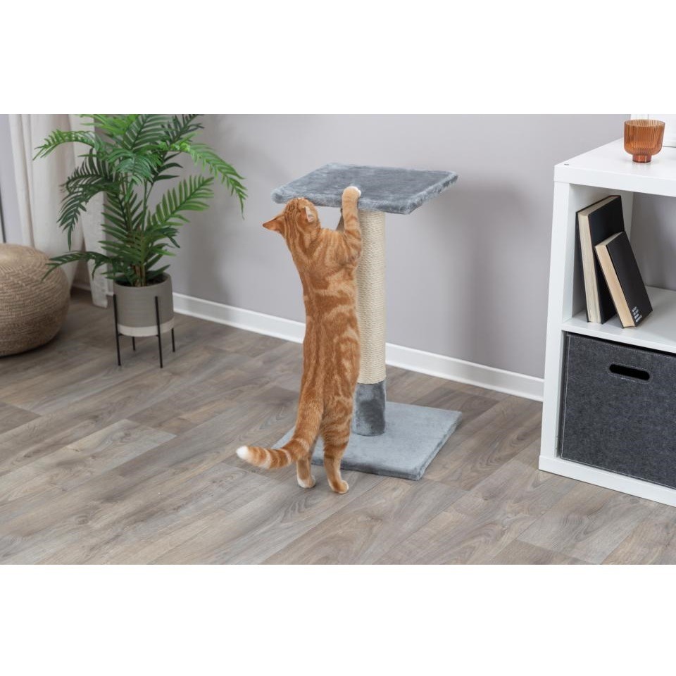 Klorestokk Trixie Baena Klorestokk Trixie Baena