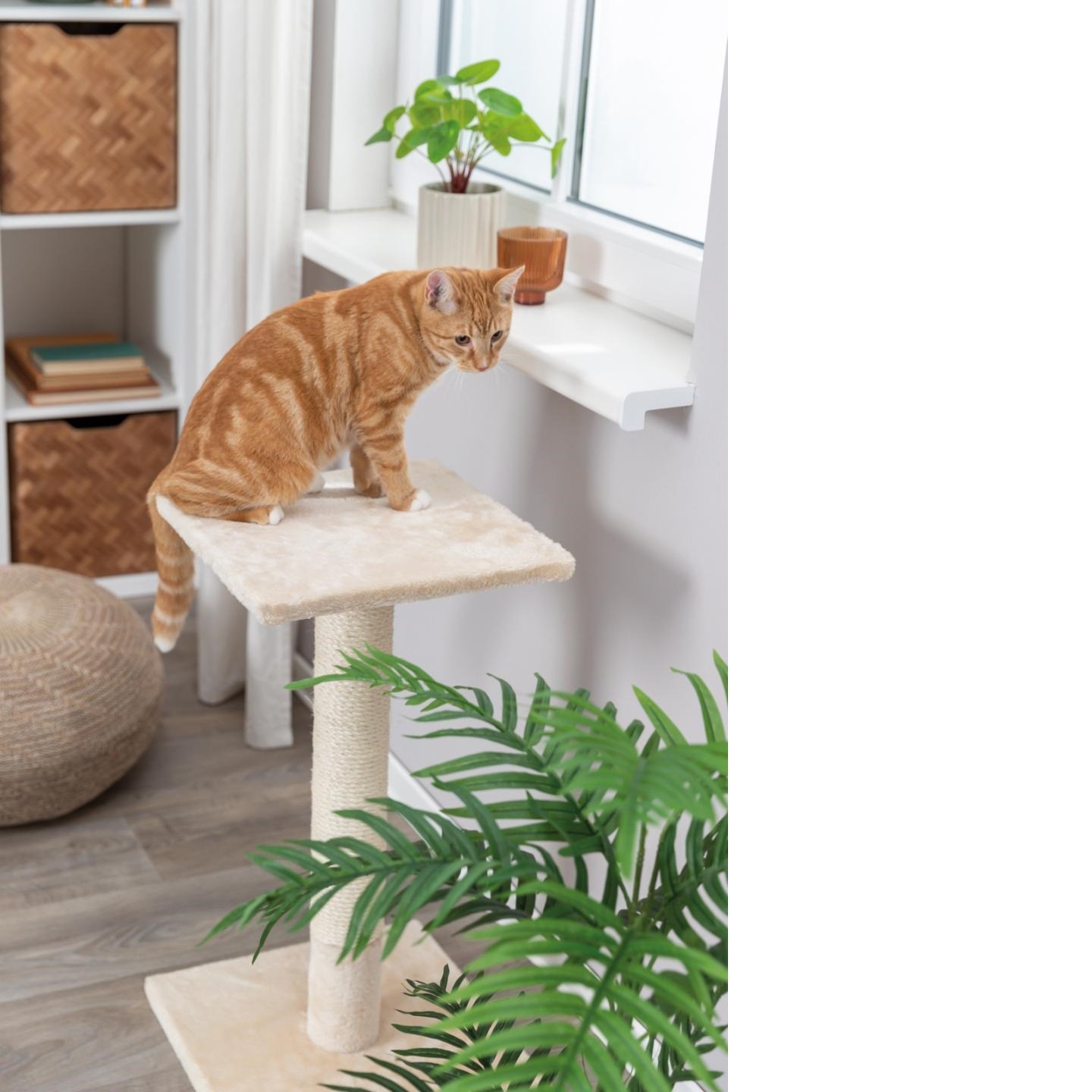 Klorestokk Trixie Baena Klorestokk Trixie Baena