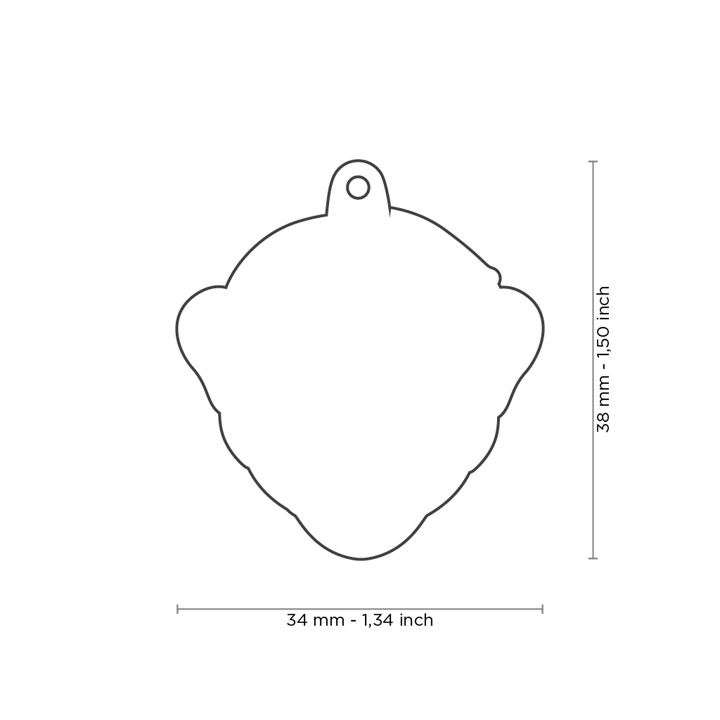 Myfamily Sjimpanse Myfamily Sjimpanse