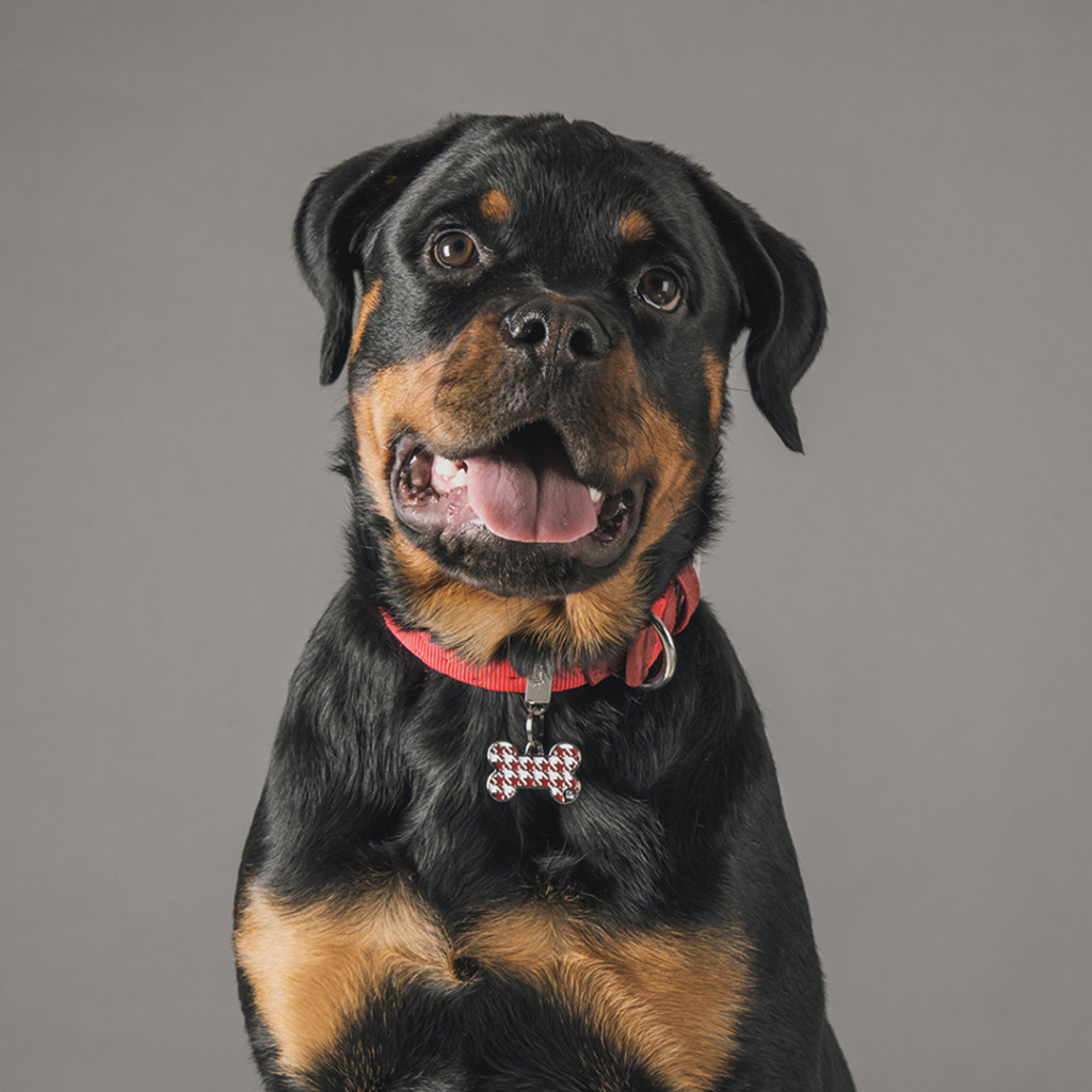 Myfamily Style Pied de Poule