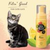 Pet Head Lemonberry Quick Fix No Rinse Foam Vaskeskum Pet Head Lemonberry Quick Fix No Rinse Foam Vaskeskum
