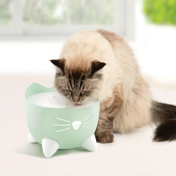 Pixi Vannfontene Catit