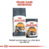 Royal Canin Hair and Skin Care Royal Canin Hair and Skin Care