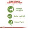 Royal Canin Outdoor 7+ Royal Canin Outdoor 7+