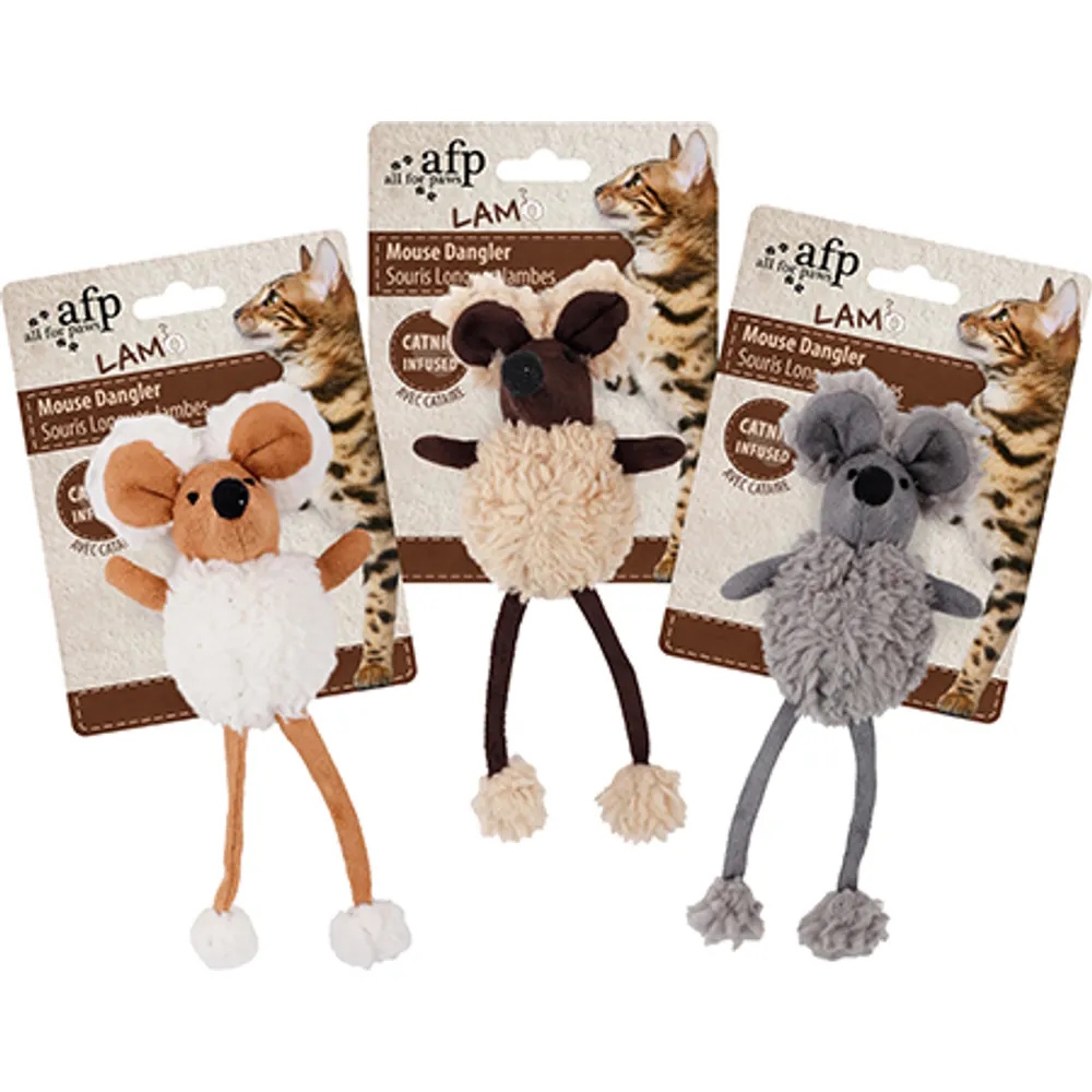 Katteleke mus Katteleke mus