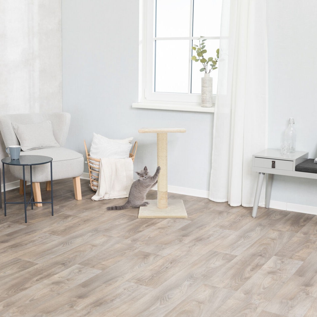 Klorestokk Trixie Baena Klorestokk Trixie Baena