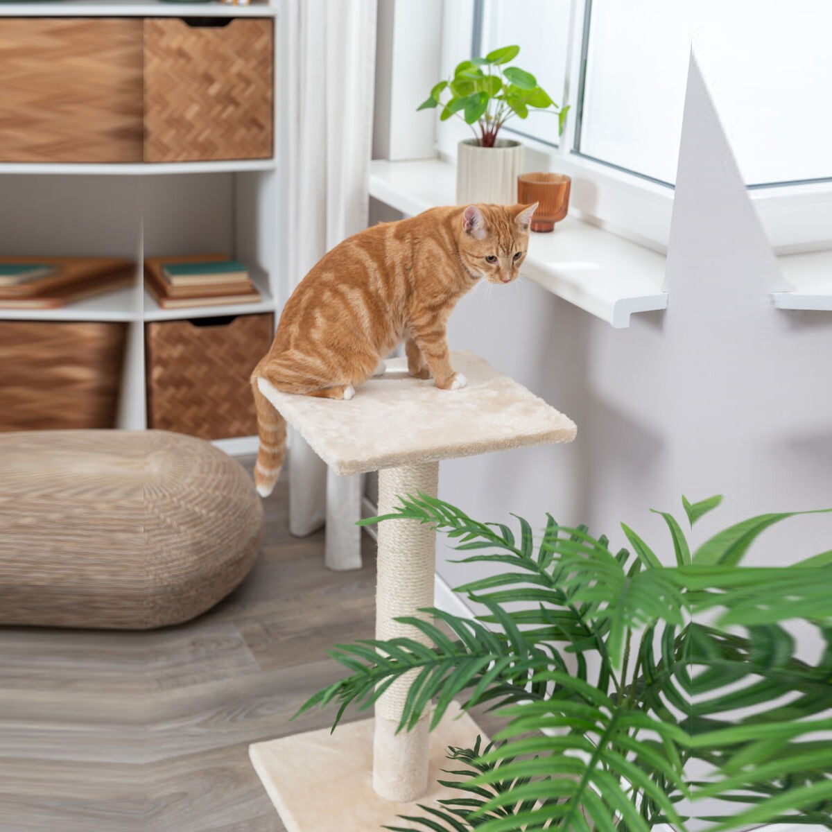 Klorestokk Trixie Baena Klorestokk Trixie Baena