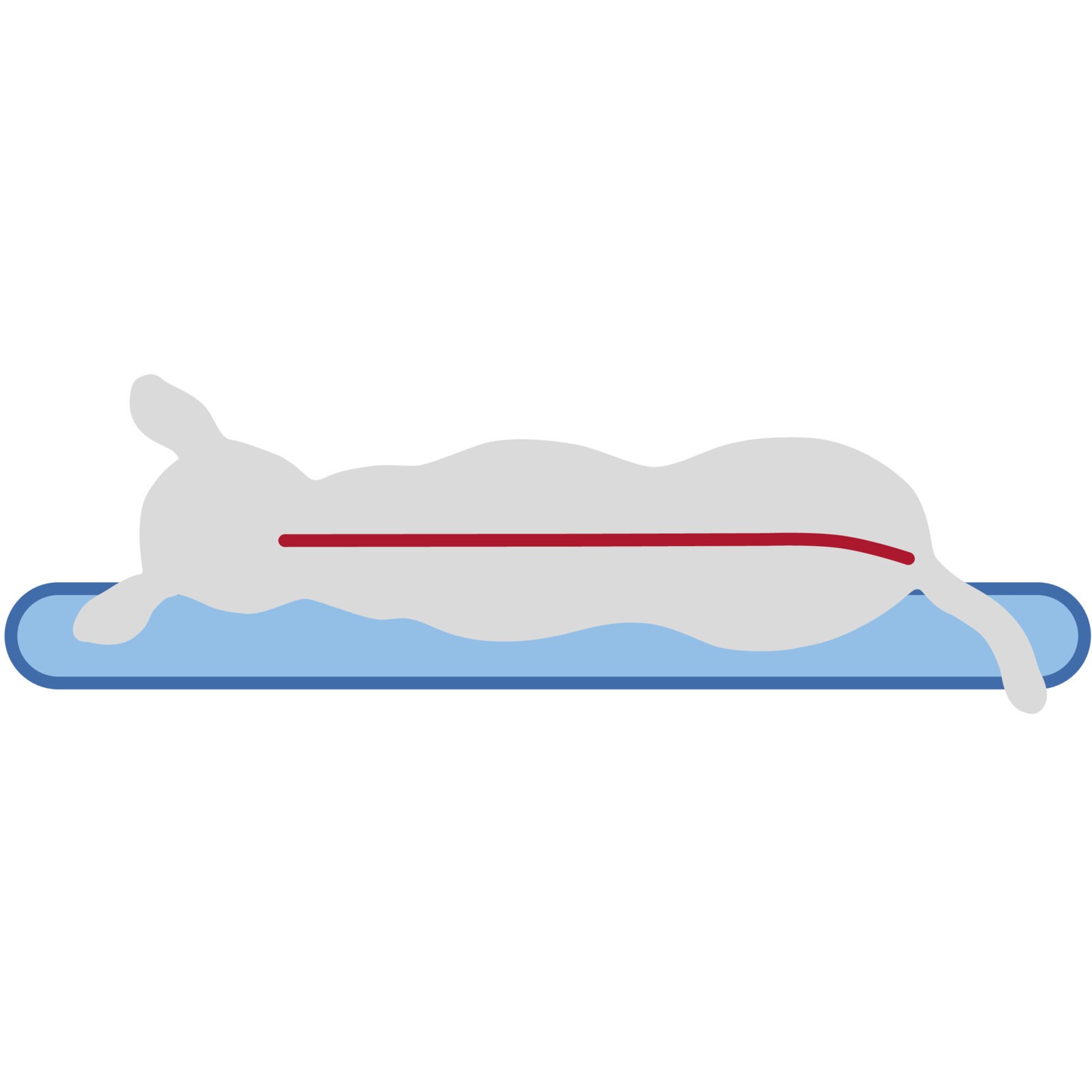 Trixie Bendsom Vital Hundepute Firkantet Beige Trixie Bendsom Vital Hundepute Firkantet Beige