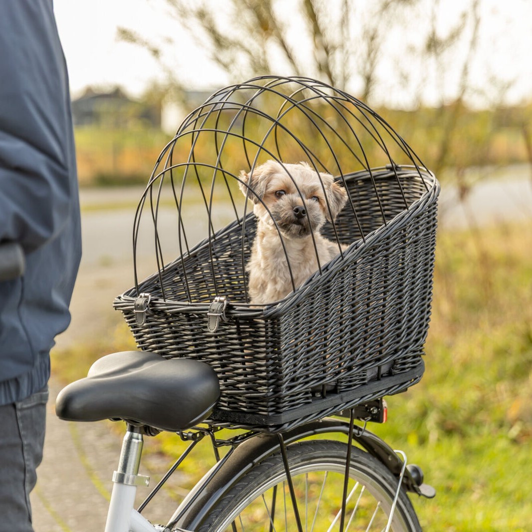 Trixie sykkelkurv til hund for bagasjebrett – sort eller grå (maks 8 kg)