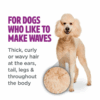 Tropiclean Perfect Fur Curly and Wavy Coat Sjampo til hund Tropiclean Perfect Fur Curly and Wavy Coat Sjampo til hund